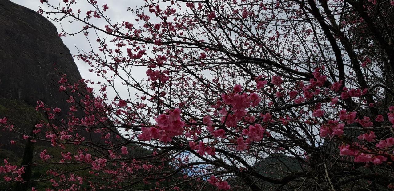 فيلا Chale Rosa Do Vale Petrópolis المظهر الخارجي الصورة