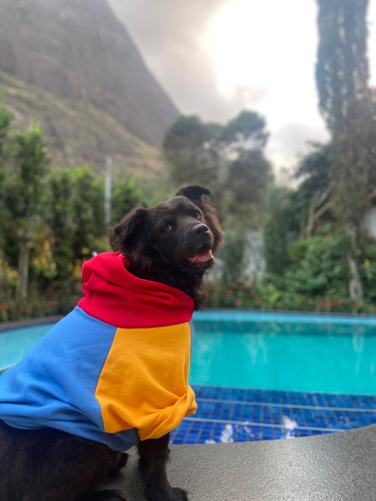 فيلا Chale Rosa Do Vale Petrópolis المظهر الخارجي الصورة