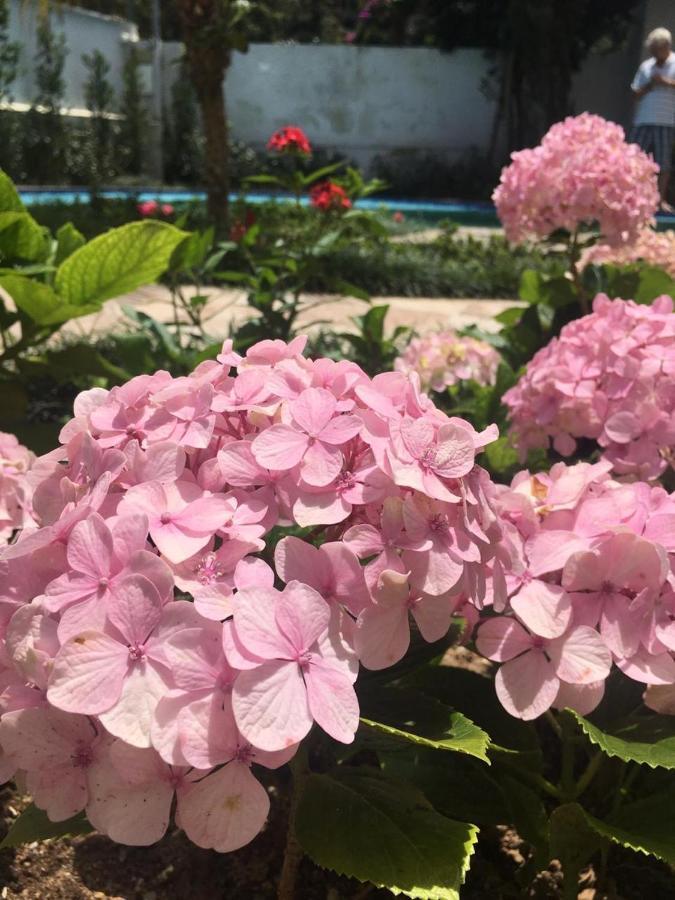 فيلا Chale Rosa Do Vale Petrópolis المظهر الخارجي الصورة